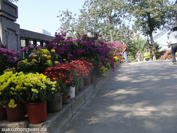 Bunte Blumen auf Brücke